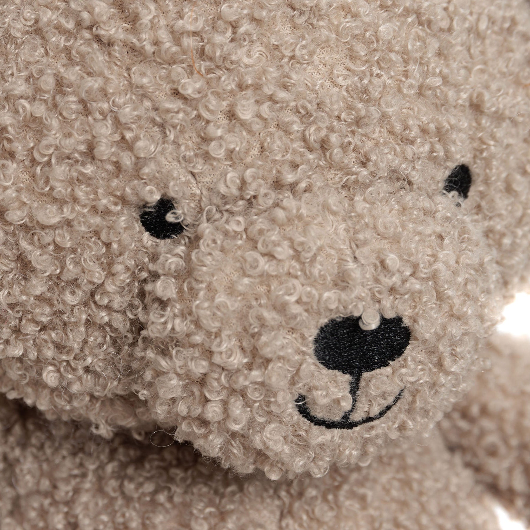 Peluche Teddy Bear – Biscuit | Jollein
