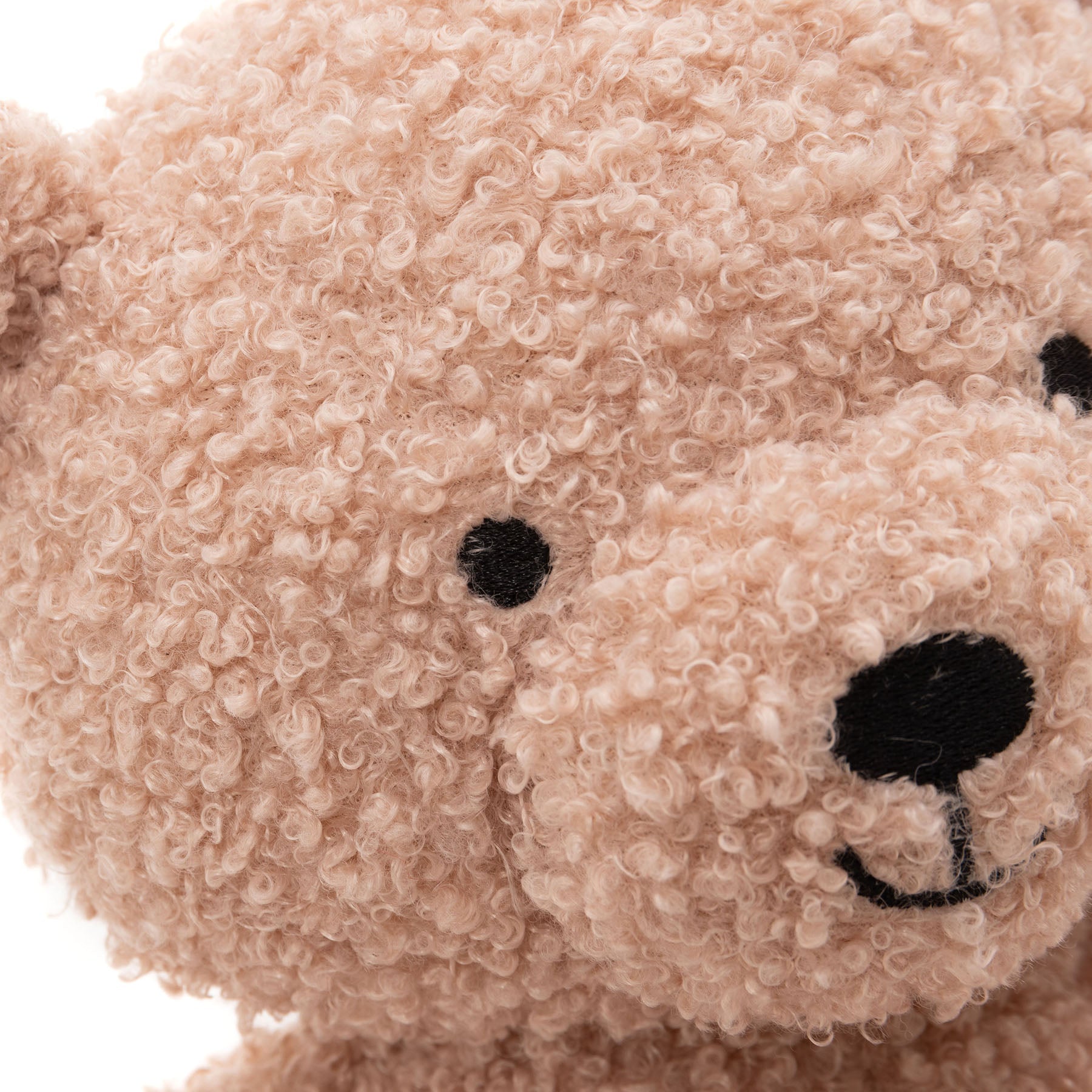 Peluche Teddy Bear – Biscuit | Jollein